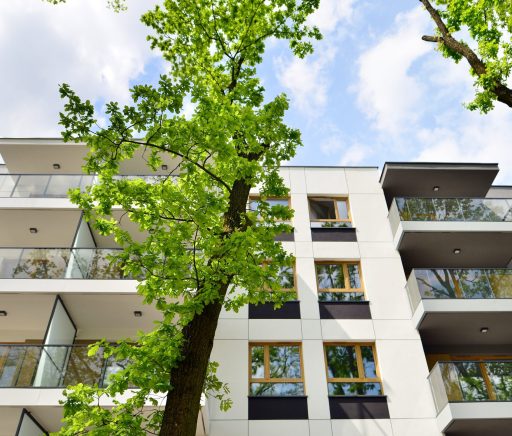 Eco,Architecture.,Green,Tree,And,New,Apartment,Building.,The,Harmony