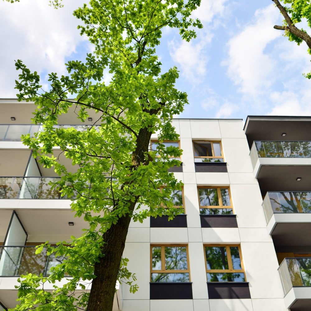 Eco,Architecture.,Green,Tree,And,New,Apartment,Building.,The,Harmony